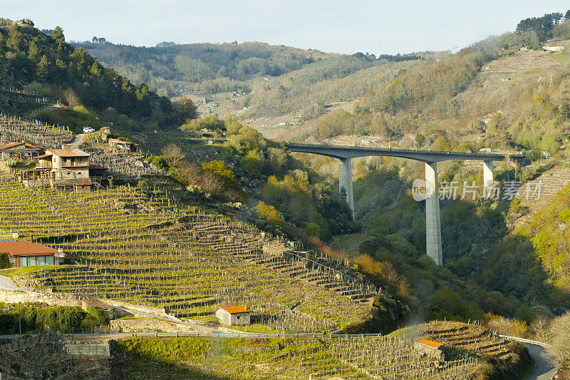 Ribeira sacra葡萄园，道路，地窖和高架，加利西亚，西班牙。